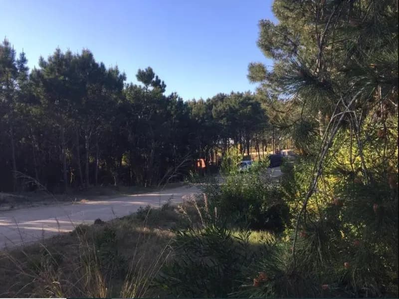 Terreno en venta · Costa Esmeralda, Punta Medanos, La Costa, Costa Atlántica, Provincia de Buenos Aires Terreno en venta · Costa Esmeralda, Punta Medanos, La Costa, Costa Atlántica, Provincia de Buenos Aires