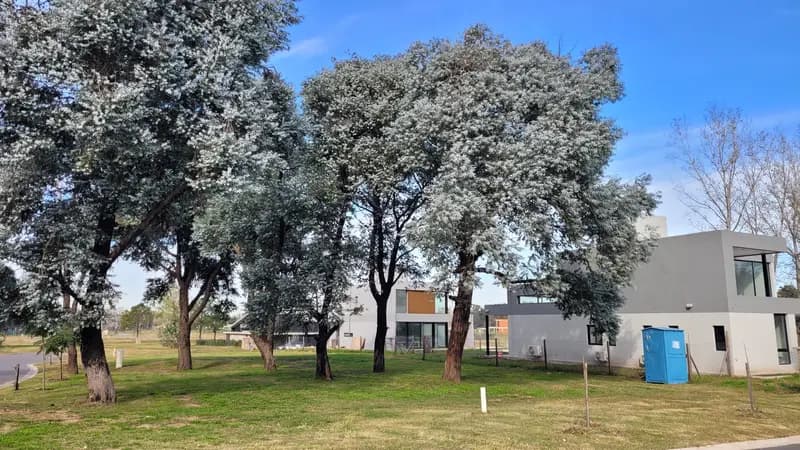 Terreno en venta · Azzurra Tortugas, Manuel Alberti, Pilar, GBA Norte, Provincia de Buenos Aires Terreno en venta · Azzurra Tortugas, Manuel Alberti, Pilar, GBA Norte, Provincia de Buenos Aires