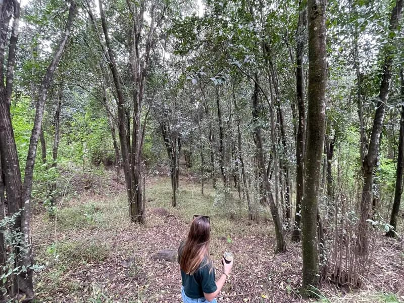 Terreno en venta · Unquillo, Colon, Córdoba Terreno en venta · Unquillo, Colon, Córdoba
