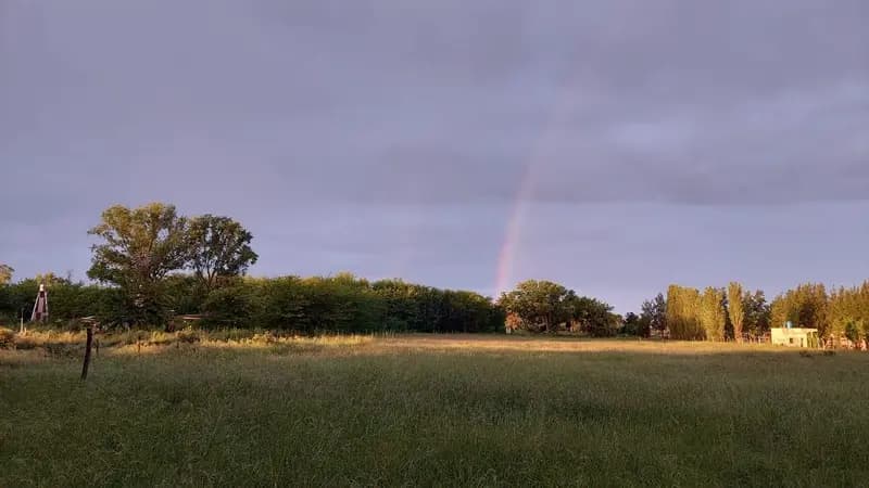 Terreno en venta · Barrio Los Pinos, Exaltación de la Cruz, GBA Norte, Provincia de Buenos Aires Terreno en venta · Barrio Los Pinos, Exaltación de la Cruz, GBA Norte, Provincia de Buenos Aires
