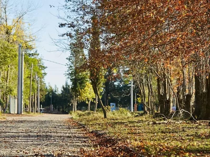 Terreno en venta · Matheu, Escobar, GBA Norte, Provincia de Buenos Aires Terreno en venta · Matheu, Escobar, GBA Norte, Provincia de Buenos Aires