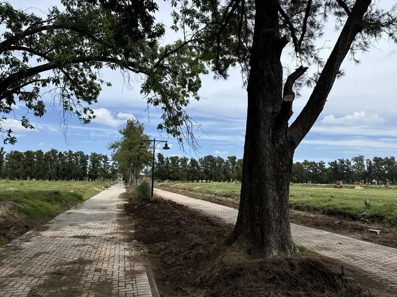 Terreno en venta · La Lonja, Manuel Alberti, Pilar, GBA Norte, Provincia de Buenos Aires Terreno en venta · La Lonja, Manuel Alberti, Pilar, GBA Norte, Provincia de Buenos Aires