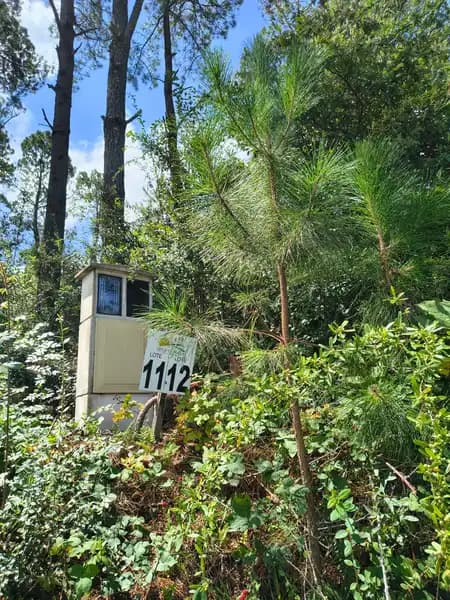 Terreno en venta · La Cumbrecita, Calamuchita, Córdoba Terreno en venta · La Cumbrecita, Calamuchita, Córdoba