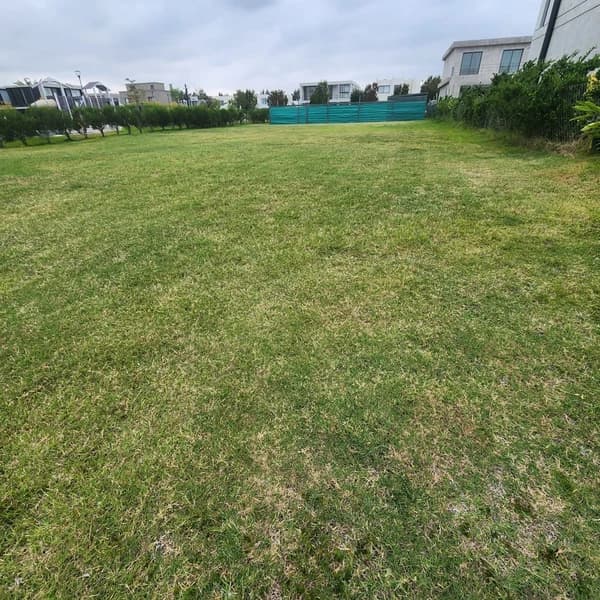 Terreno en venta · Carpinchos, Nordelta, Tigre, GBA Norte, Provincia de Buenos Aires Terreno en venta · Carpinchos, Nordelta, Tigre, GBA Norte, Provincia de Buenos Aires
