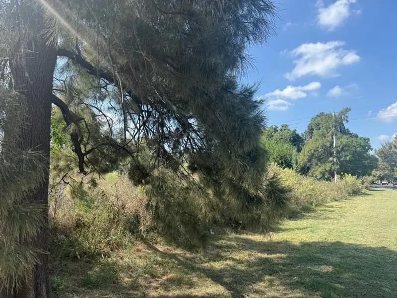 Terreno en venta · Pilar, GBA Norte, Provincia de Buenos Aires Terreno en venta · Pilar, GBA Norte, Provincia de Buenos Aires