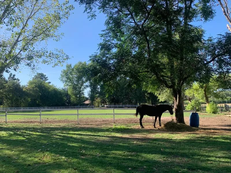 Terreno en venta · Pilar Del Este, Pilar, GBA Norte, Provincia de Buenos Aires Terreno en venta · Pilar Del Este, Pilar, GBA Norte, Provincia de Buenos Aires