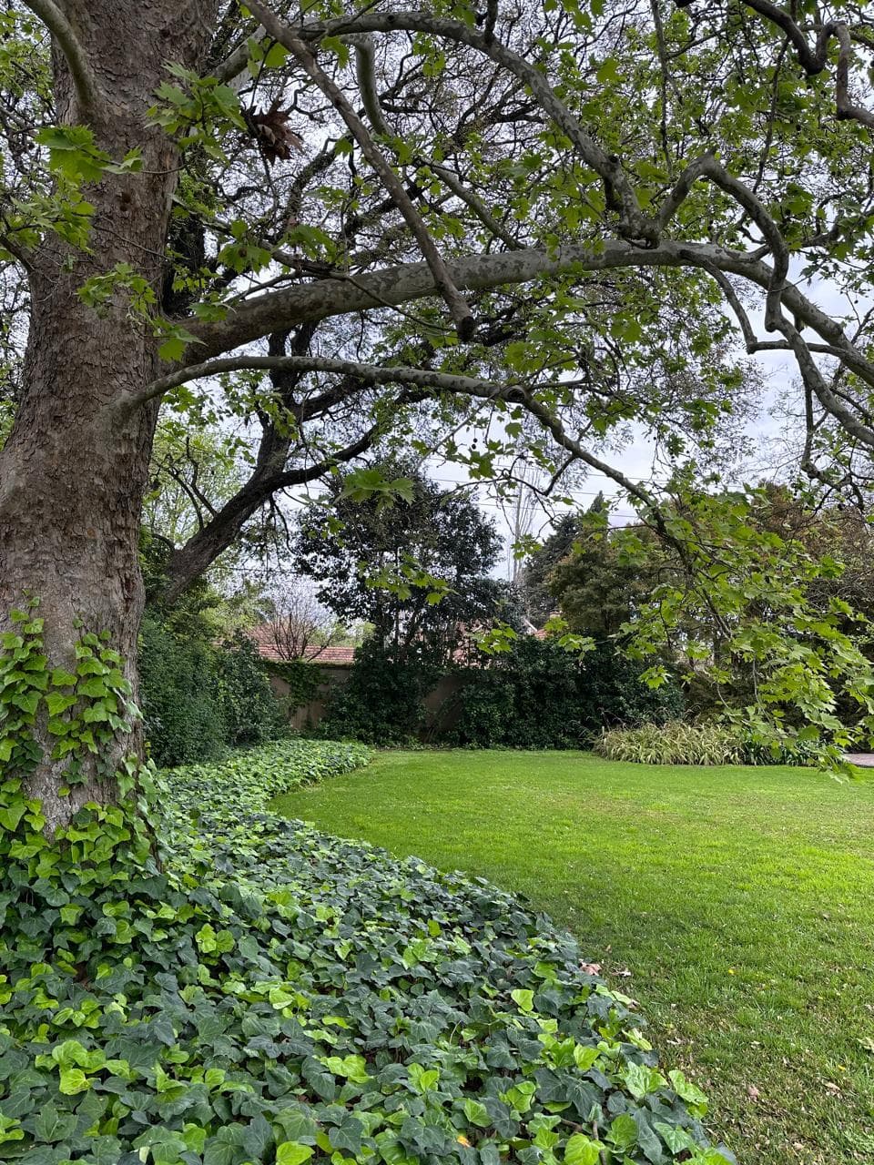 Terreno en venta · San Isidro, GBA Norte, Provincia de Buenos Aires Terreno en venta · San Isidro, GBA Norte, Provincia de Buenos Aires