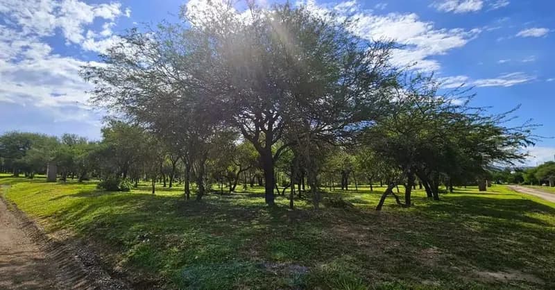 Terreno en venta · Malagueño, Santa Maria, Córdoba Terreno en venta · Malagueño, Santa Maria, Córdoba