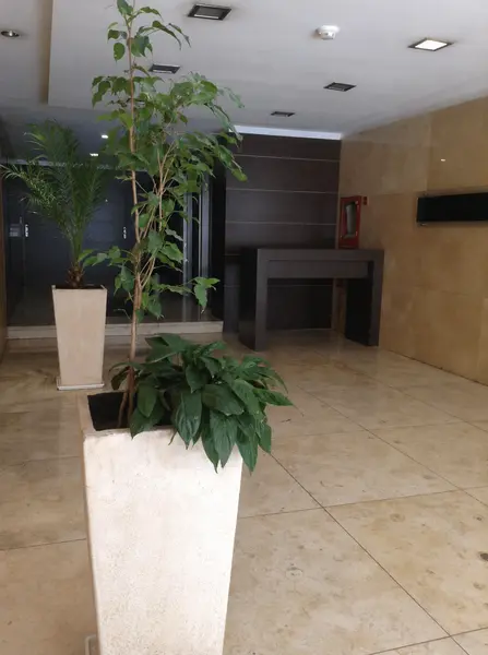 Departamento en venta · Nueva Córdoba, Córdoba Capital, Córdoba Departamento en venta · Nueva Córdoba, Córdoba Capital, Córdoba