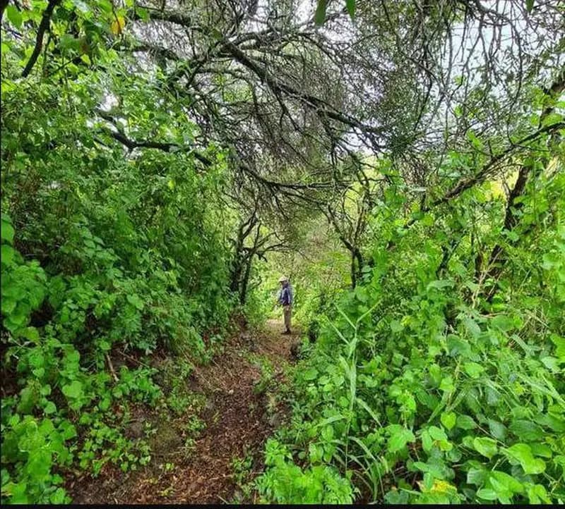 Terreno en venta · Ascochinga, Colon, Córdoba Terreno en venta · Ascochinga, Colon, Córdoba