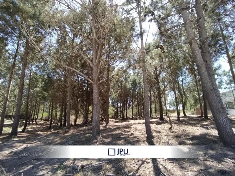 Terreno en venta · Costa Esmeralda, Punta Medanos, La Costa, Costa Atlántica, Provincia de Buenos Aires Terreno en venta · Costa Esmeralda, Punta Medanos, La Costa, Costa Atlántica, Provincia de Buenos Aires