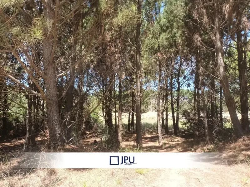 Terreno en venta · Costa Esmeralda, Punta Medanos, La Costa, Costa Atlántica, Provincia de Buenos Aires Terreno en venta · Costa Esmeralda, Punta Medanos, La Costa, Costa Atlántica, Provincia de Buenos Aires