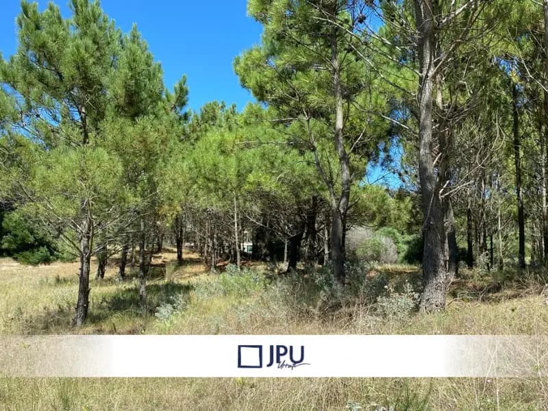 Terreno en venta · Costa Esmeralda, Punta Medanos, La Costa, Costa Atlántica, Provincia de Buenos Aires Terreno en venta · Costa Esmeralda, Punta Medanos, La Costa, Costa Atlántica, Provincia de Buenos Aires
