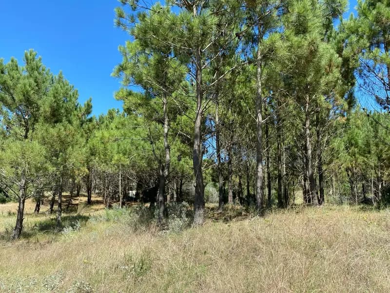 Terreno en venta · Costa Esmeralda, Punta Medanos, La Costa, Costa Atlántica, Provincia de Buenos Aires Terreno en venta · Costa Esmeralda, Punta Medanos, La Costa, Costa Atlántica, Provincia de Buenos Aires