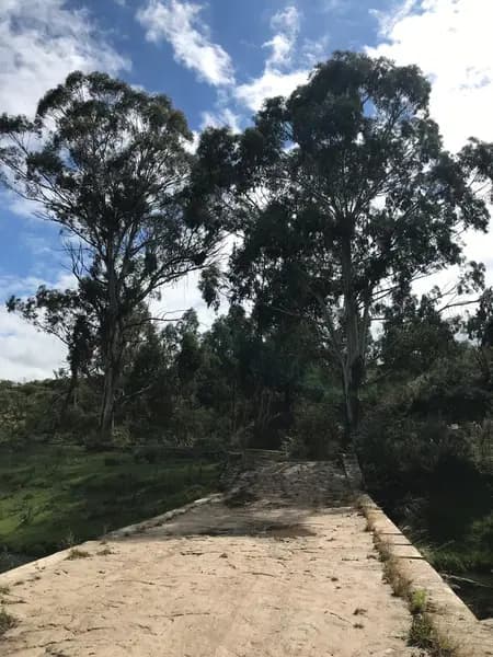 Terreno en venta · La Falda, Punilla, Córdoba Terreno en venta · La Falda, Punilla, Córdoba