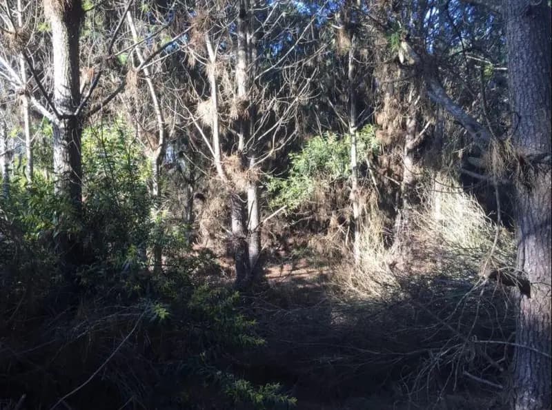 Terreno en venta · Costa Esmeralda, Punta Medanos, La Costa, Costa Atlántica, Provincia de Buenos Aires Terreno en venta · Costa Esmeralda, Punta Medanos, La Costa, Costa Atlántica, Provincia de Buenos Aires